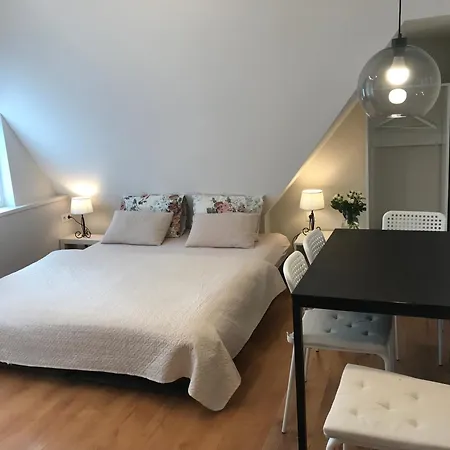 Apartamentai Birutes Alejoje Appartement *